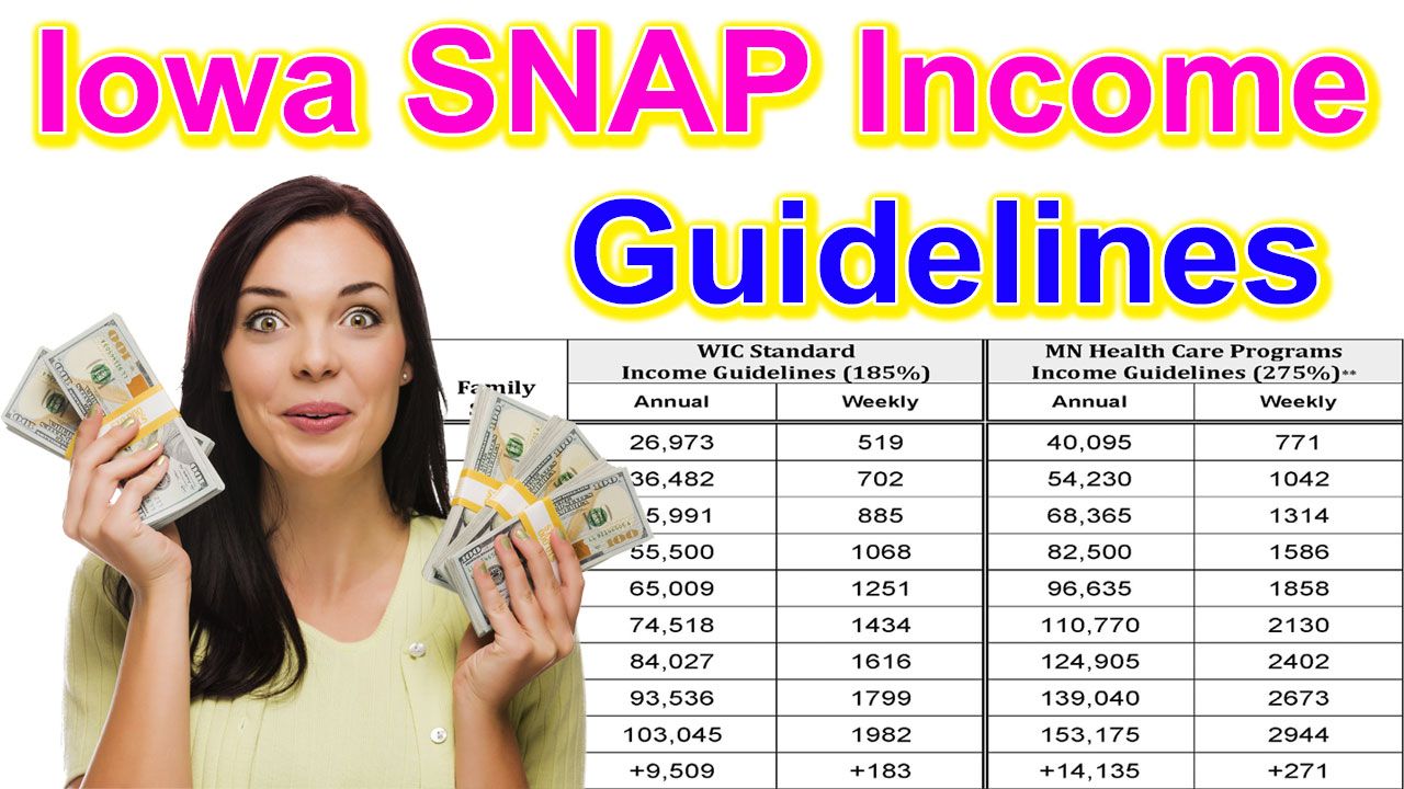 Iowa SNAP Income Guidelines 2024