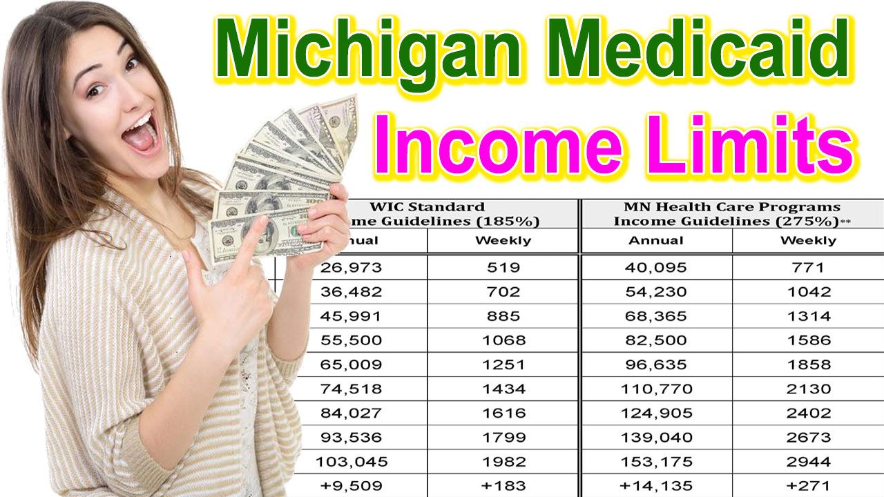 Michigan Medicaid Limits 2024