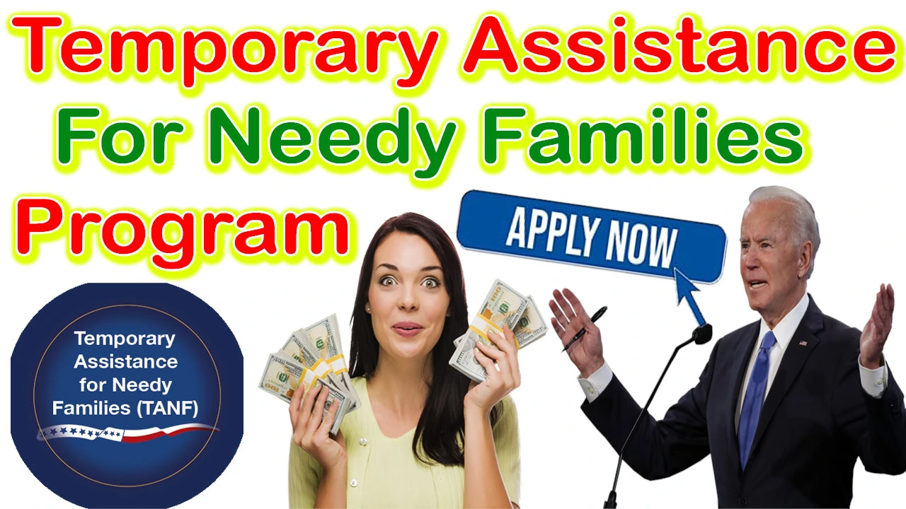 Temporary Assistance For Needy Families Program